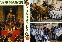 83-BARJOLS...LA FETE DE ST-MARCEL...3 VUES ANIMEES...CPM - Barjols