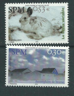 St Pierre Et Miquelon N° 852 + 855  XX "Atmosphère De Brumee" Et Le Lièvre Variable Les 2 Valeurs Sans Charnière,TB - Used Stamps