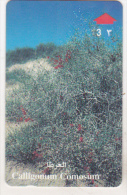 Oman Old Phonecard -44OMNQ - 3 R - Calligonum Comosim - Oman