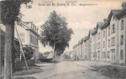 ¤¤   -  Gruss Aus ST-LUDWIG  -  SAINT-LOUIS  -  Burgfelderstrasse   -  ¤¤ - Saint Louis