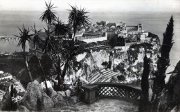 Monte-Carlo. Le Rocher De Monaco Vu Du Jardin Exotique - Jardin Exotique