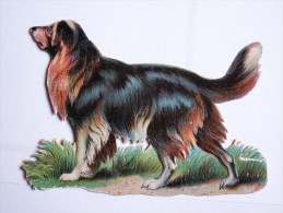 "" JOLI  DECOUPI  GAUFRE  //   CHIEN  ""  8,5  Cm - Animals