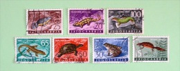 Yugoslavia 1962 Animals Reptiles Amphibians Frog Turtle Salamander - Used Stamps