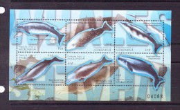 MICRONESIE 2001  DAUPHINS   YVERT N°B  NEUF MNH** - Dolphins