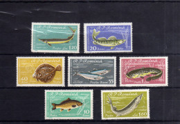 ROMANIA  POSTA ROMANA 1960 FAUNA FISHES PESCI COMPLETE SET MNH - Neufs