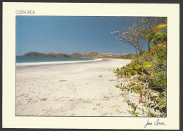 Costa Rica, Guanacaste, The Flamingo Beach. - Costa Rica