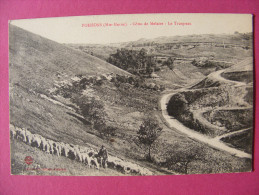 CPA Poissons (52) - Côtes De Melaire - Le Troupeau (moutons, Berger) - Poissons