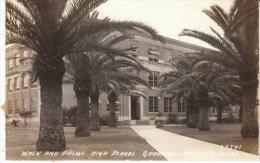 McAllen TX Texas, High School Campus, Palm Trees, Architecture, C1940s/50s Vintage Real Photo Postcard - Autres & Non Classés