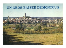 Cp, 46, Montcuq, Vue Générale - Montcuq