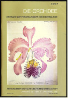 Die Orchidee  -  Beiträge Zu Förderung Der Orchideenkunde  -  Heft 2 1988 - Andere & Zonder Classificatie