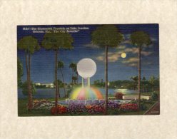 45408   Stati  Uniti,    The  Illuminated Fountain On Lake Ivanhoe,  Orlando, Florida, NV - Orlando