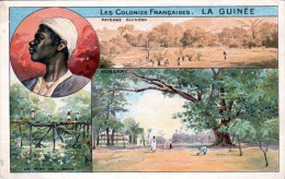 LA GUINÈE (Guinea, Westafrika), Les Colonies Francaises, Litho-Karte 1900? Nicht Gelaufen, Seltene Karte - Guinée