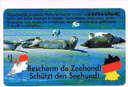 OLANDA (NETHERLANDS) -  PTT TELECOM (CHIP) -   1994 BESCHERM DE ZEEHOND: SEALS (PUZZLE 2/2)     -  USED    RIF. 4942 - Rompecabezas