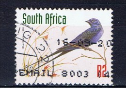 RSA Südafrika 1997 Mi 1110 Schwalbe - Usati