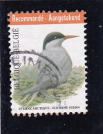 VOGELS  OISEAUX   BUZINNOORSE STERN STERNE ARCTIQUE - Used Stamps