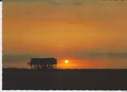 St Peter Ording Sonnenuntergang - St. Peter-Ording