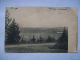 Ma Réf: 43-7-53.                  HOUYET     Panorama Vers Ciergnon. - Houyet