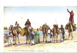 EGYPTE SCENES TYPES   BEDOUINS ET LEURS CHAMEAUX ,COULEUR REF 16777 - Persone