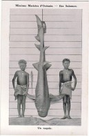 OCEANIE / ILES SALOMON / Un Requin / Animation - Solomon Islands