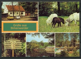 (1235) Grüße Aus Birkenwerder / Mehrbildkarte - N. Gel. - DDR - Bild Und Heimat - Birkenwerder