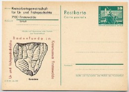 DDR P79-21-82 C193 Postkarte PRIVATER ZUDRUCK Bodenfunde Finsterwalde 1982 - Private Postcards - Mint