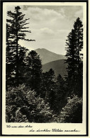 Wo Um Den Arber Die Dunklen Wälder Rauschen  -  Ansichtskarte Ca.1940   (2737) - Bodenmais