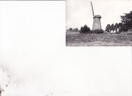 BRECHT : Molen - Brecht