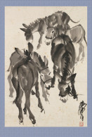 (N54-022  )  Anes Esel Donkey Burros Y Asnos, Postal Stationery-Entier Postal-Ganzsache-Postwaar Destuk - Ezels