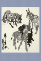 (N54-024  )  Anes Esel Donkey Burros Y Asnos, Postal Stationery-Entier Postal-Ganzsache-Postwaar Destuk - Asini