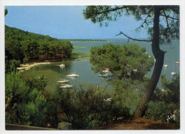 CARCANS--MAUBUISSON--Le Lac ,et Au Fond ,BOMBANNES  ,cpm N° 33121  éd  Yvon - Carcans