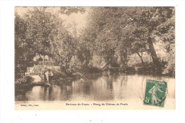 CPA :58 - Nièvre - Cosne - Etang Du Château De Presle:  Homme Penché Dans L'étang - Arbres  :  Peu Commmune - Cosne Cours Sur Loire