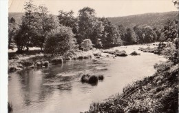 In Het Ourdal Nabij Ouren - Burg-Reuland