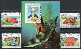 Cuba                   3801/3804 + Bloc 157      Faune Marine - Poissons