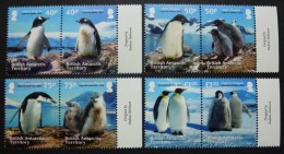 BRITS ANTARCTICA 2013  PINGUINS     Postfris/mnh - Spedizioni Antartiche