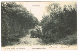 "Santhoven / Zandhoven - In De Mastebosschen" - Zandhoven