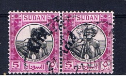 SUD+ Sudan 1951 Mi 135 Hirte - Sudan (...-1951)