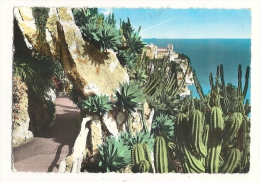 Cp, Principauté De Monaco, Le Jardin Exotique, Au Fond, Le Rocher De Monaco, Voyagée - Exotic Garden