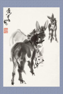 (N54-056  )  Anes Esel Donkey Burros Y Asnos, Postal Stationery-Entier Postal-Ganzsache-Postwaar Destuk - Donkeys
