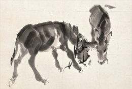 (N54-081  )  Anes Esel Donkey Burros Y Asnos, Postal Stationery-Entier Postal-Ganzsache-Postwaar Destuk - Donkeys