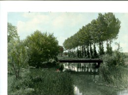 Delcampe - CP - GUERIGNY (58) Bords De La Nièvre - Guerigny