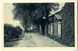 33 CHATEAU RIEUSSEC LE CUVIER FARGUES DE LANGON - Langon