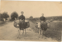 64- Pyr.Atlant.- Basquaises Revenant Du Marché (sur Anes  Mules ) - Personnages