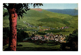 Condat En Féniers Jolie Vue Panoramique Couleur Sur Le Bourg - Condat