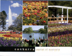 (900) Australia - ACT - Canberra - Canberra (ACT)