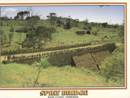 (900) Australia - TAS - Spiky Bridge - Andere & Zonder Classificatie