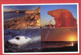 Streaky Bay - South-Australia - Australie - Autres & Non Classés