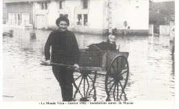 CPSM LE MONDE VECU INONDATIONS AUTOUR DE MACON JANVIER 1982 VIEILLE FEMME DANS UNE CHARRETTE - Inondations