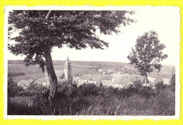 * Oignies En Thiérache (Viroinval - Namur - La Wallonie) * (Nels, Editeur Maison Petit Leclercq, Nr 1)  Panorama, église - Viroinval