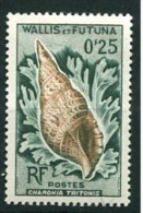 Wallis & Futuna Y&T* N°162 :  Coquillage - Unused Stamps