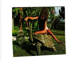 TORTUE GEANTE ET LA JOLIE DAME   REF 36241 - Schildkröten